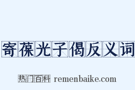 寄葆光子偈反义词是什么意思的图片
